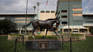 Despite Track Shutdown, Horses Keep Dying At Santa Anita